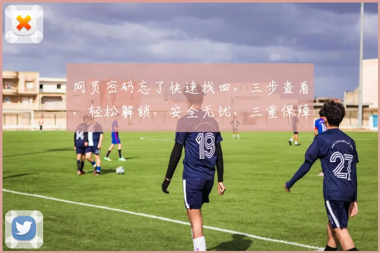 网页密码忘了快速找回，三步查看，轻松解锁，安全无忧，三重保障，便捷高效