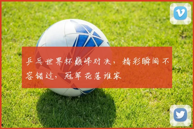 乒乓世界杯巅峰对决，精彩瞬间不容错过，冠军花落谁家