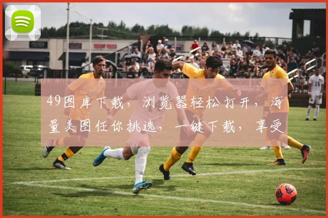 49图库下载，浏览器轻松打开，海量美图任你挑选，一键下载，享受视觉盛宴