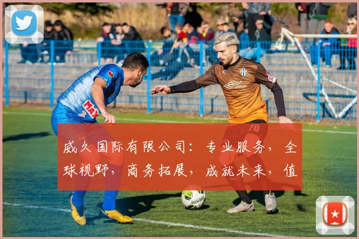 威久国际有限公司：专业服务，全球视野，商务拓展，成就未来，值得信赖的合作伙伴